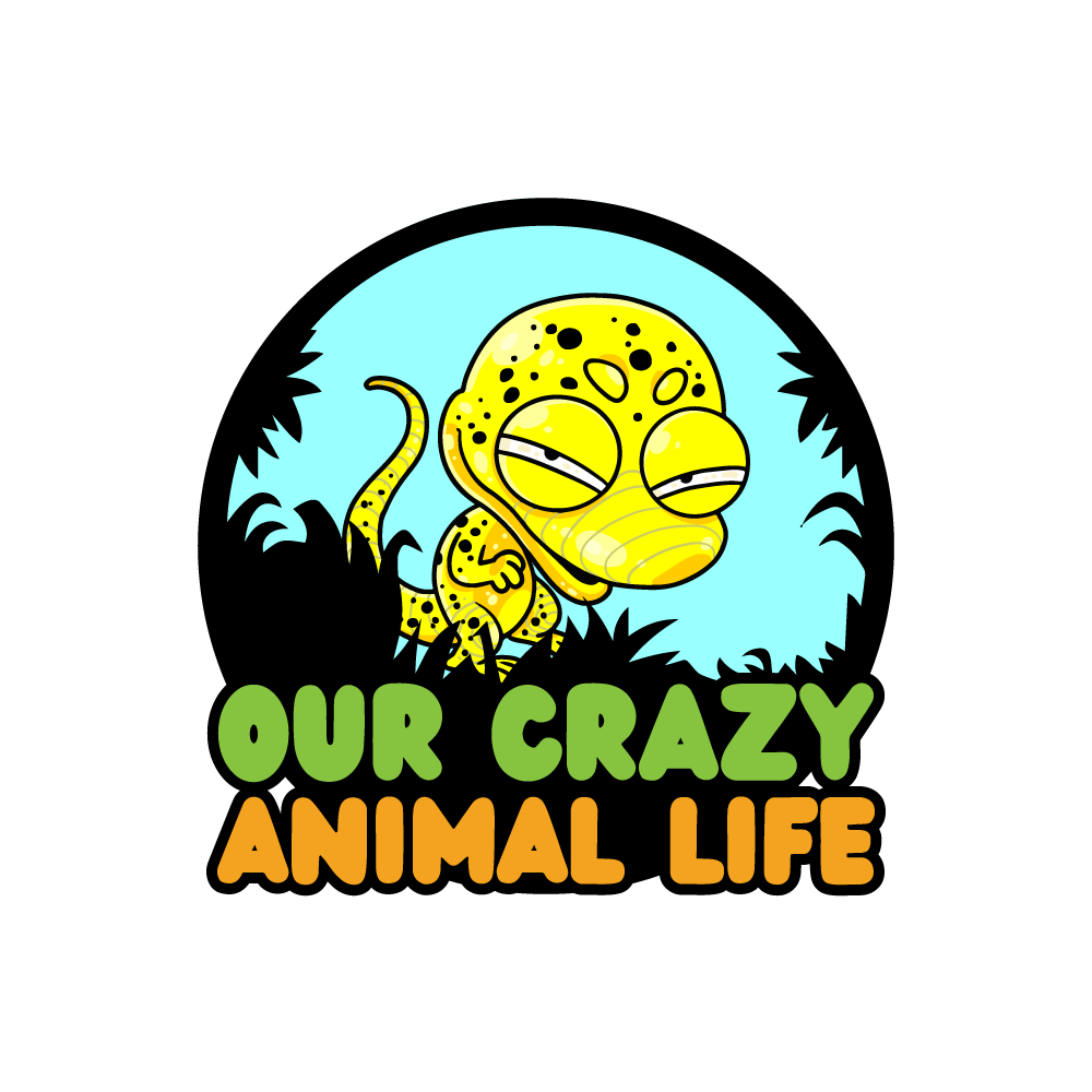 Our Crazy Animal Life